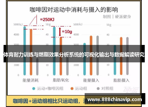 体育耐力训练与燃脂效果分析系统的可视化输出与数据解读研究